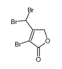 4-bromo-3-(dibromomethyl)-2H-furan-5-one Structure