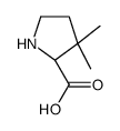 (2S)-3,3-dimethylpyrrolidine-2-carboxylic acid Structure