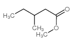 methyl 3-methylpentanoate picture