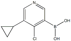5-(cyclopropyl)-4-chloropyridine-3-boronic acid结构式