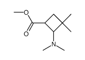 methyl 2-(dimethylamino)-3,3-dimethylcyclobutane-carboxylate结构式