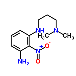 N-[3-(Dimethylamino)propyl]-2-nitro-1,3-benzenediamine Structure