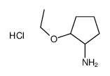 2-ethoxycyclopentan-1-amine,hydrochloride Structure