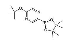 2-[(2-methylpropan-2-yl)oxy]-5-(4,4,5,5-tetramethyl-1,3,2-dioxaborolan-2-yl)pyrazine结构式