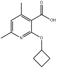 1247523-42-7 structure