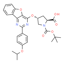 (2S,4R)-1-(叔丁氧基羰基)-4-((2-(4-异丙氧基苯基)苯并呋喃并[3,2-d]嘧啶-4-基)氧基)图片