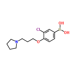 (3-chloro-4-(3-(pyrrolidin-1-yl)propoxy)phenyl)boronic acid structure