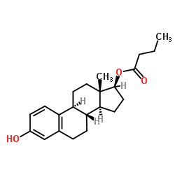 17-Butyrate Estradiol picture