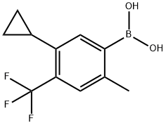 2-Methyl-4-trifluoromethyl-5-cyclopropylphenylboronic acid结构式