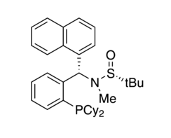 [S(R)]-N-[(S)-[2-(Dicyclohexylphosphino)phenyl]-1-naphthalenylmethyl]-N,2-dimethyl-2-propanesulfinamide Structure