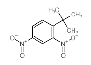 2,4-Dinitro-1-tert-butyl-benzene picture