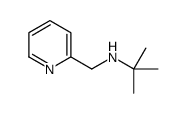 2-methyl-N-(pyridin-2-ylmethyl)propan-2-amine结构式
