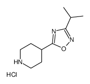 4-(3-异丙基-1,2,4-恶二唑基-5-基)哌啶盐酸盐结构式