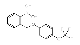 (2-((4-(三氟甲氧基)苯氧基)甲基)苯基)硼酸结构式