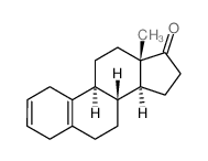 (8S,9S,13S,14S)-13-methyl-4,6,7,8,9,11,12,14,15,16-decahydro-1H-cyclopenta[a]phenanthren-17-one结构式