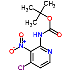 2-Methyl-2-propanyl (4-chloro-3-nitro-2-pyridinyl)carbamate Structure