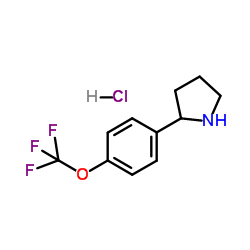 2-(4-TRIFLUOROMETHOXY-PHENYL)-PYRROLIDINE, HYDROCHLORIDE Structure