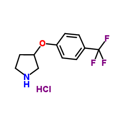 3-[4-(Trifluoromethyl)phenoxy]-pyrrolidine HCl picture
