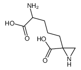 2-(4-amino-4-carboxybutyl)-2-aziridinecarboxylic acid Structure