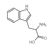 L-Tryptophan,homopolymer Structure