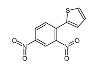 2-(2,4-dinitrophenyl)thiophene结构式