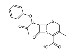 (6R-trans)-7-(acetylphenoxyamino)-3-methyl-8-oxo-5-thia-1-azabicyclo[4.2.0]oct-2-ene-2-carboxylic acid picture