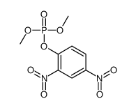 (2,4-dinitrophenyl) dimethyl phosphate Structure