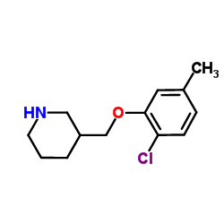 3-[(2-Chloro-5-methylphenoxy)methyl]piperidine Structure