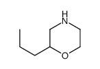 2-propylmorpholine Structure