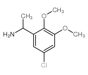 1-(5-chloro-2,3-dimethoxyphenyl)ethanamine picture