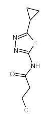 3-chloro-N-(5-cyclopropyl-1,3,4-thiadiazol-2-yl)propanamide Structure