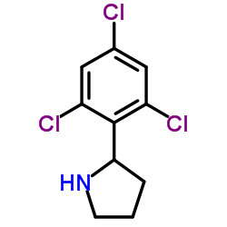 2-(2,4,6-Trichlorophenyl)pyrrolidine结构式