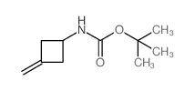 (3-亚甲基环丁基)氨基甲酸叔丁酯图片