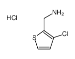 (3-chlorothiophen-2-yl)methanamine,hydrochloride picture