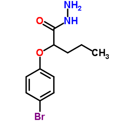 2-(4-Bromophenoxy)pentanehydrazide Structure