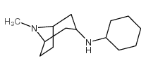 N-cyclohexyl-8-methyl-8-azabicyclo[3.2.1]octan-3-amine结构式