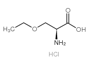 (s)-2-amino-3-ethoxy-propionic acid hydrochloride Structure