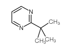 Pyrimidine, 2-(1,1-dimethylethyl)- (9CI) Structure