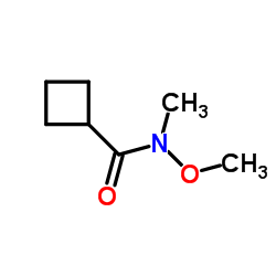 N-Methoxy-N-methylcyclobutanecarboxamide structure