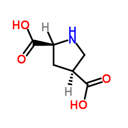 (2S,4S)-吡咯烷-2,4-二羧酸结构式