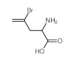 2-amino-4-bromo-pent-4-enoic acid structure