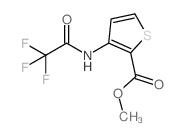 3-(2,2,2-三氟-乙酰基氨基)-噻吩-2-羧酸甲酯结构式