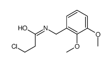 3-chloro-N-[(2,3-dimethoxyphenyl)methyl]propanamide Structure