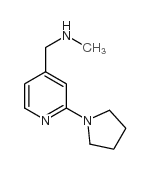 N-METHYL-1-(2-PYRROLIDIN-1-YLPYRIDIN-4-YL)METHYLAMINE 95 picture