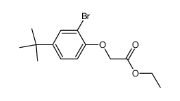 (2-bromo-4-tert-butyl-phenoxy)-acetic acid ethyl ester结构式