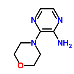3-(4-Morpholinyl)-2-pyrazinamine Structure