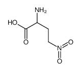 4-nitro-2-aminobutyric acid structure