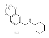 N-[(3,4-dimethoxyphenyl)methyl]cyclohexanamine picture