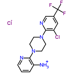 3-Amino-2-[4-[3-chloro-5-(trifluoromethyl)pyridin-2-yl]piperazin-1-yl]pyridine hydrochloride 97结构式