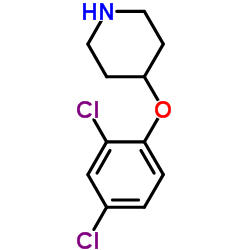 4-(2,4-Dichlorophenoxy)piperidine Structure